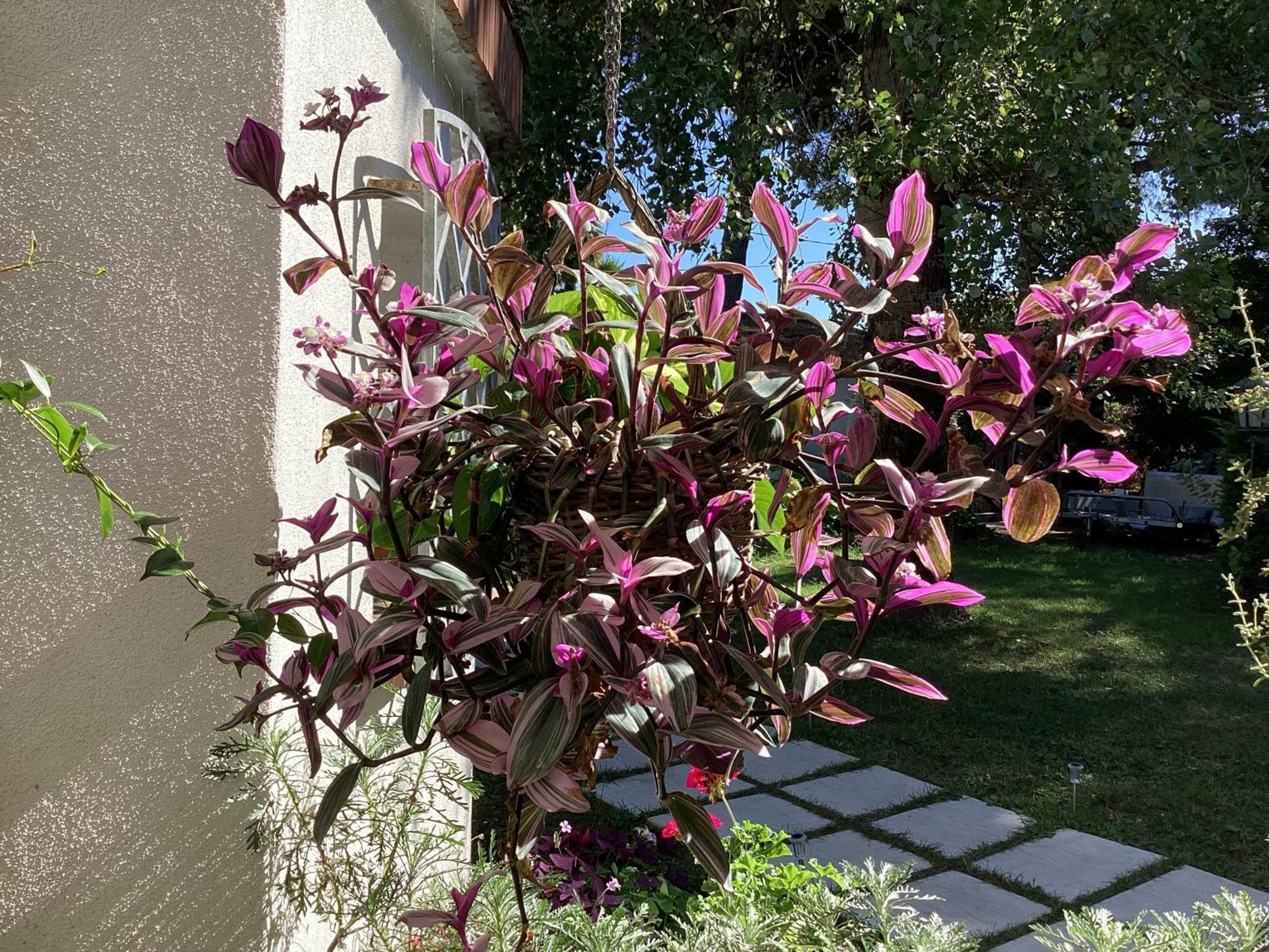 La Bricola Affittacamere