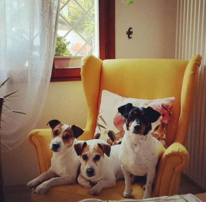 La Bricola Guest house *